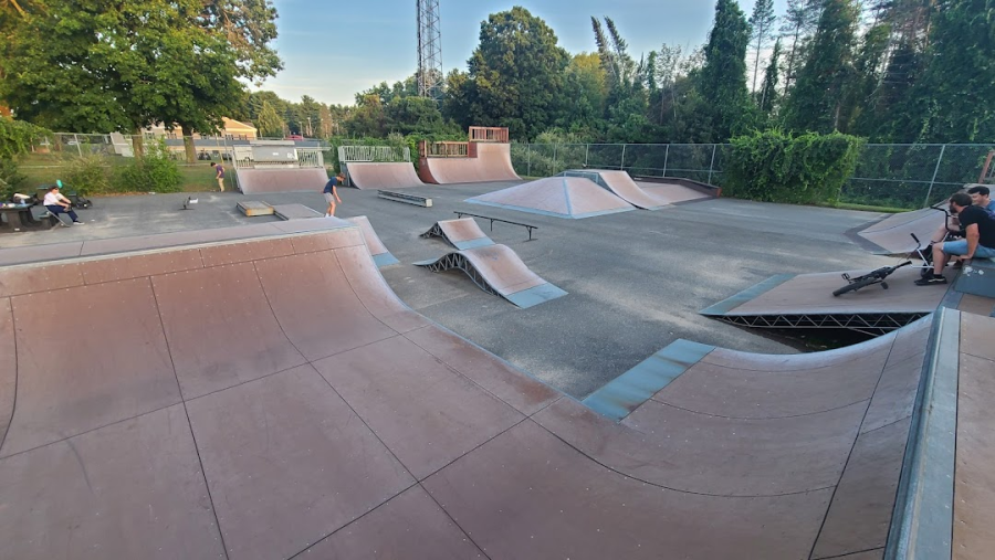 Reviewing Local Skateparks