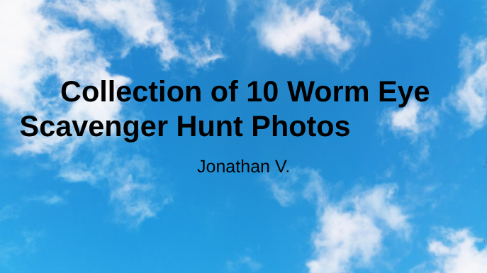 Collection of 10 Worm Eye Scavenger Hunt Photos