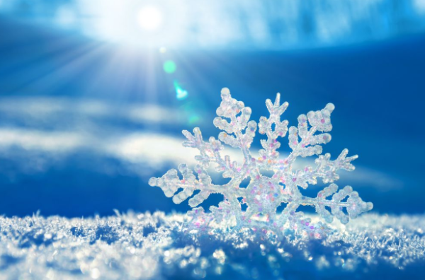 Snow Days: Cozy Memories and Chilly Cleanup