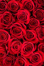 Gift Ideas for Valentines Day